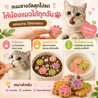 ขนมแมวเนื้อไก่ฟรีซดราย อาหารว่างแมว โปรตีนสูง ไขมันต่ำ ย่อยง่าย เหมาะสำหรับแมวทุกวัย