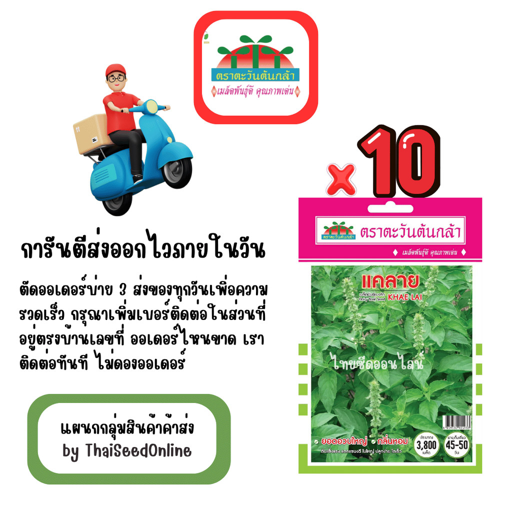 ADVOP x 10 เมล็ดผักซอง ตะวันต้นกล้า แมงลัก แคลาย สินค้ายกแพ็ค