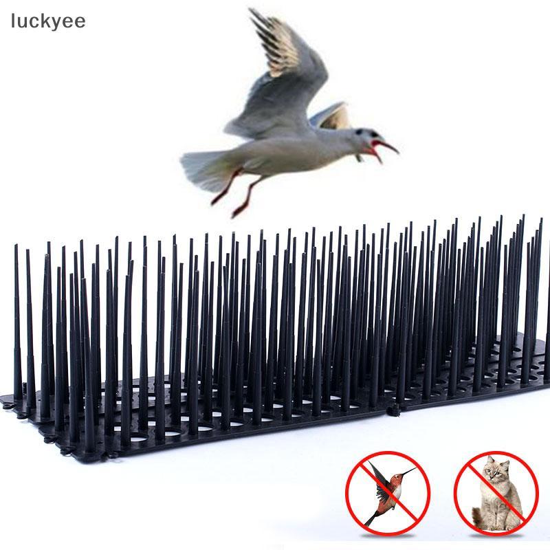 Luckyee Bird Spikes รั้ว Cat Defender รั้วพลาสติก Wall Spikes สําหรับปิดนก TQ