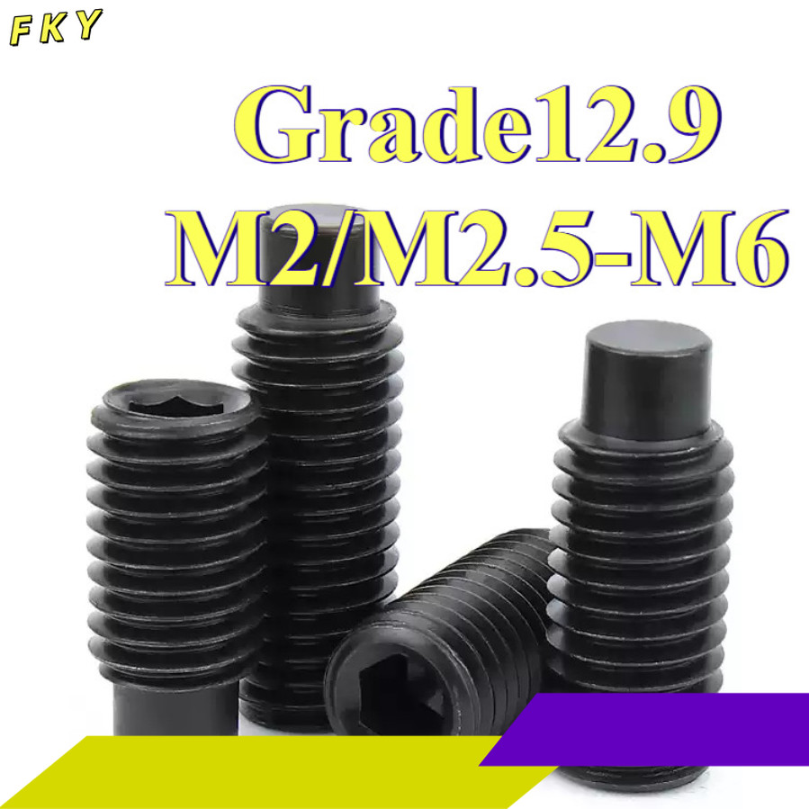 สกรู ตัวหนอน หกเหลี่ยม ปลายแหลม 12.9 ชุบดำ  เกลียวมิล หยาบ / Hex Socket Set Screw M2/M2.5/M3/M4/M5/M