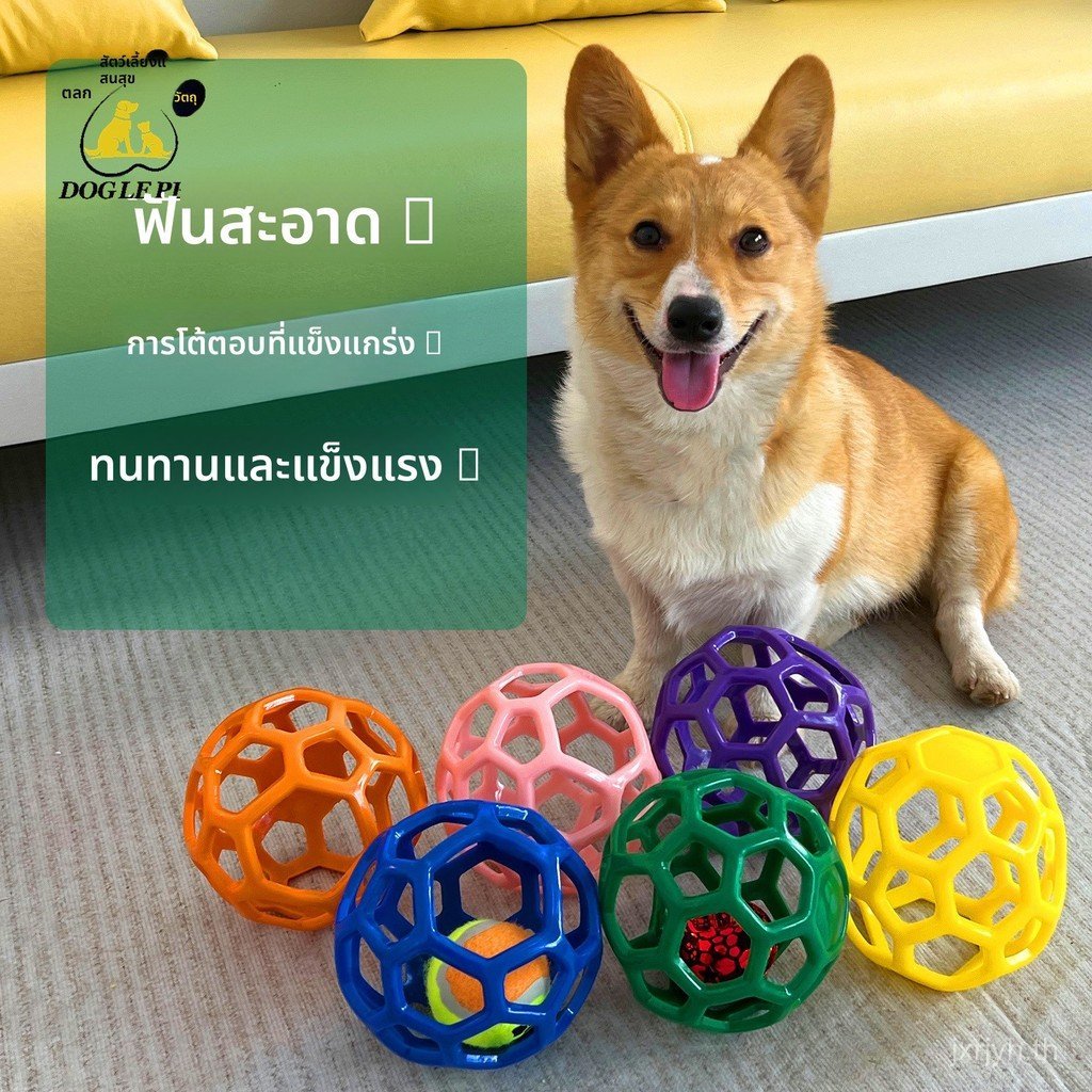 ใหม่! ของเล่นสัตว์เลี้ยงบอล 🐶 สิ่งแวดล้อมมิตร กัดทนยืดหยุ่น สินค้าแหล่งต้น บอลกลวง