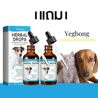 สำหรับสัตว์เลี้ยง]โรคปอดบวม, ไอ, หลอดลมอักเสบ, โรคจมูกอักเสบ…