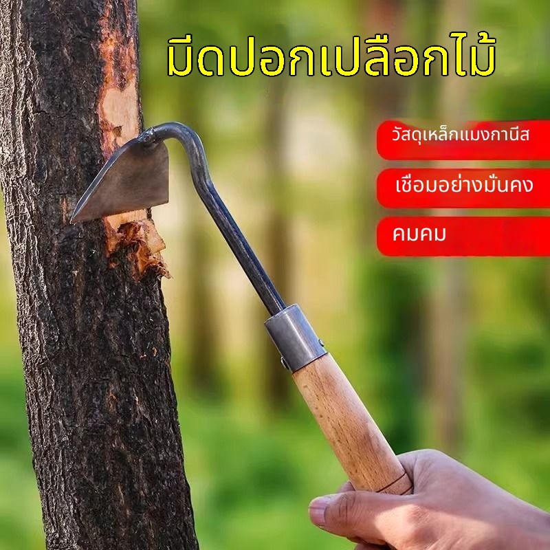 มีดขูดเปลือกไม้ผล 2in1 เหล็กแมงกานีส ขูดยางสนแก้โรคต้นไม้ คมแข็งทนทาน อุปกรณ์ทำสวน ชาวสวนใช้งานง่าย