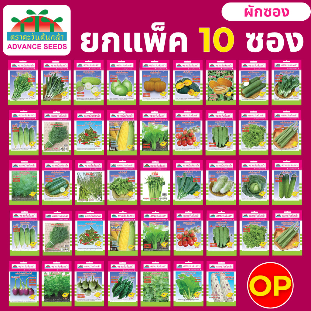เมล็ดพันธุ์ผัก ผักซอง ตราตะวันต้นกล้า OP ยกแพ็ค 10 ซอง เลือกชนิดได้ ขายส่ง ของแท้