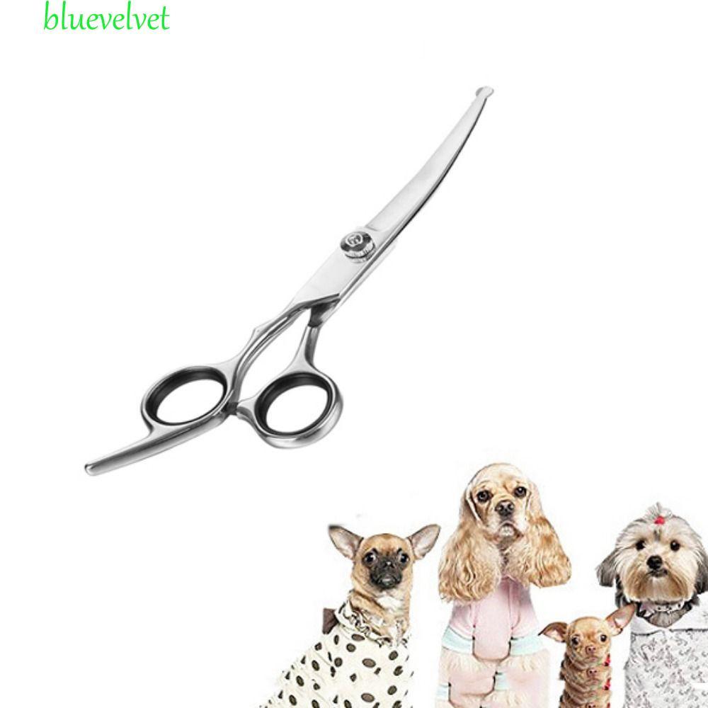 BLUEVELVET กรรไกรกรูมมิ่งสัตว์เลี้ยง, สแตนเลสพร้อมเคล็ดลับกลมความปลอดภัยกรรไกรตัดผมสุนัข, Professional Silver Pet Hairdressing Curve กรรไกรสัตว์เลี้ยง Beauty Shop