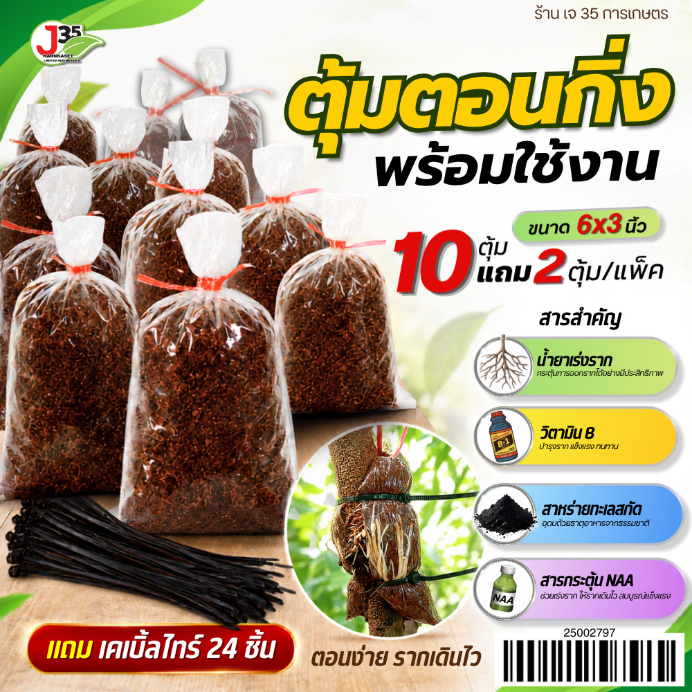 (10ตุ้มแถม2ตุ้ม) ตุ้มตอนกิ่ง ถุงตอนกิ่ง แถมเคเบิ้ลไทร์ 24 เส้น ขุยมะพร้าวตอนกิ่ง ตุ้มตอนกิ่ง แช่น้ำยาเร่งรากแล้ว
