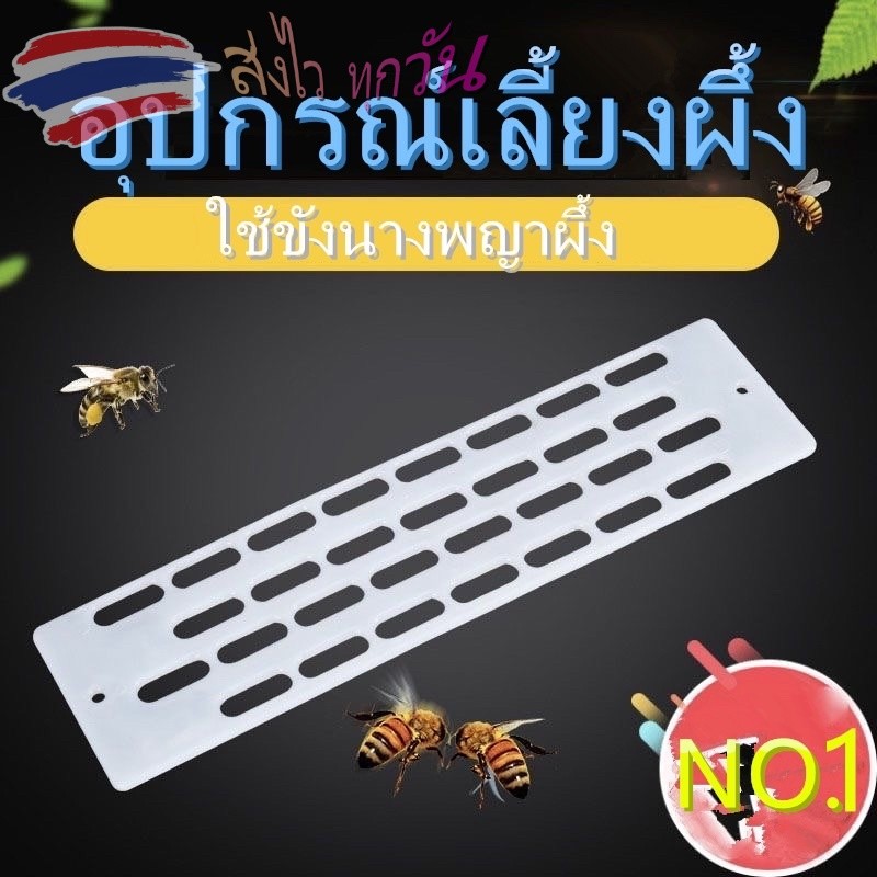 พร้อมส่งในไทยแผ่นกั้นนางพญาผึ้งโพรงประตูผึ้ง นางพญาผึ้ง ขังนางพญาผึ้งแผ่นขังนางพญาอุปกรณ์เลี้ยงผึ้ง