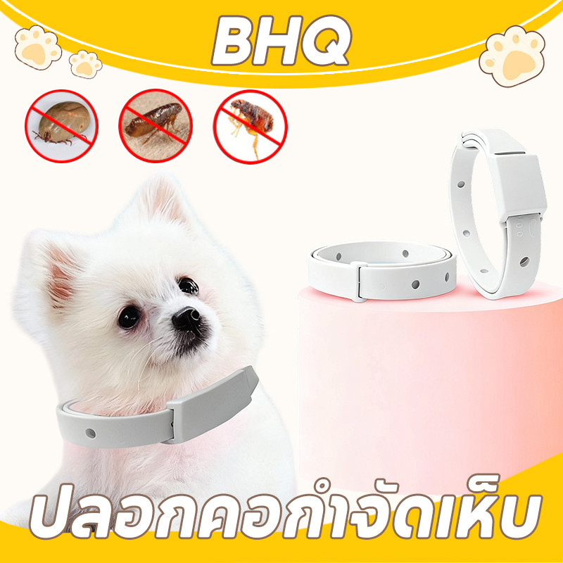 BHQ ปลอกคอกำจัดเห็บ หมัด สุนัข และแมว กันน้ำได้ ปลอกคอกําจัดหมัดเห็บ ทนนาน 8 เดื