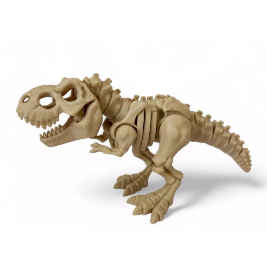 คิวโร ของเล่นเด็ก เฟรมไดโนเสาร์ สัตว์โบราณ โครงกระดูก ขนาดกลาง