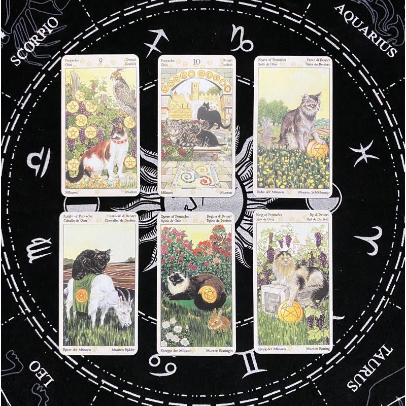 พร้อมสต็อก Tarot of Pagan Cats Pagan Pagans English Board Game Cards Ready Stock Tarot of Pag2025102
