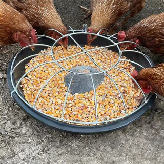 เครื่องให้อาหารไก่ทรงกลม เครื่องให้อาหารไก่และเป็ดเครื่องให้อาหารไก่ เหมาะสำหรับไก่ เป็ด และห่าน