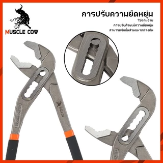 MUSCLE COW คีมปั๊มน้ำปากเลื่อน 8/10/12 นิ้ว ด้ามกันลื่น แข็งแรง ปรับขนาดได้ ใช้งานงานช่างและซ่อมบ้าน