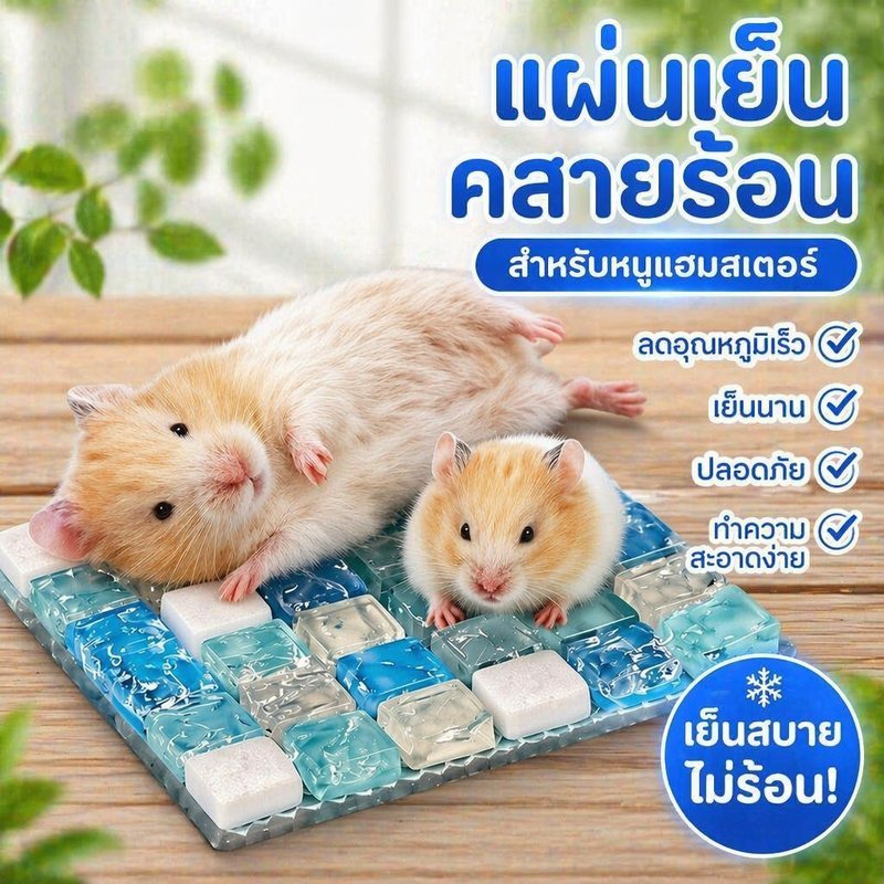 แผ่นเย็นแฮมสเตอร์ คริสตัล ระบายความร้อน ไม่ต้องแช่เย็น หนา 6 มม ปลอดภัย ตัดขนาดได้ สำหรับสัตว์เล็ก