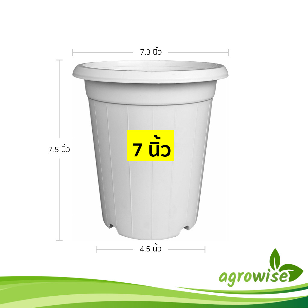 กระถาง แคคตัส ไม้กราฟ ทรงสูง 7 7.3 8 นิ้ว สีขาว ขั้นต่ำ 10 ใบ ชิ้น อัน