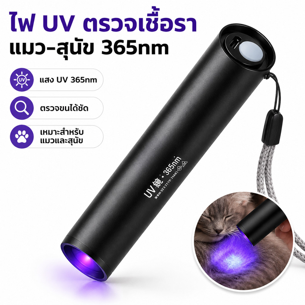 พร้อมส่ง! ไฟฉาย UV 365nm กำลังสูง ตรวจคราบปัสสาวะแมว-สุนัข และกลากเชื้อรา ชาร์จ USB พกพาสะดวก ใช้งานง่าย