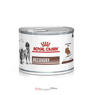 [วันหมดอายุ11/27] Royal Canin Recovery อาหารเปียกสุนัขและแมว สำหรับป่วยพักฟื้นและการดูแลหลังผ่าตัด 195g. 12กระป๋อง
