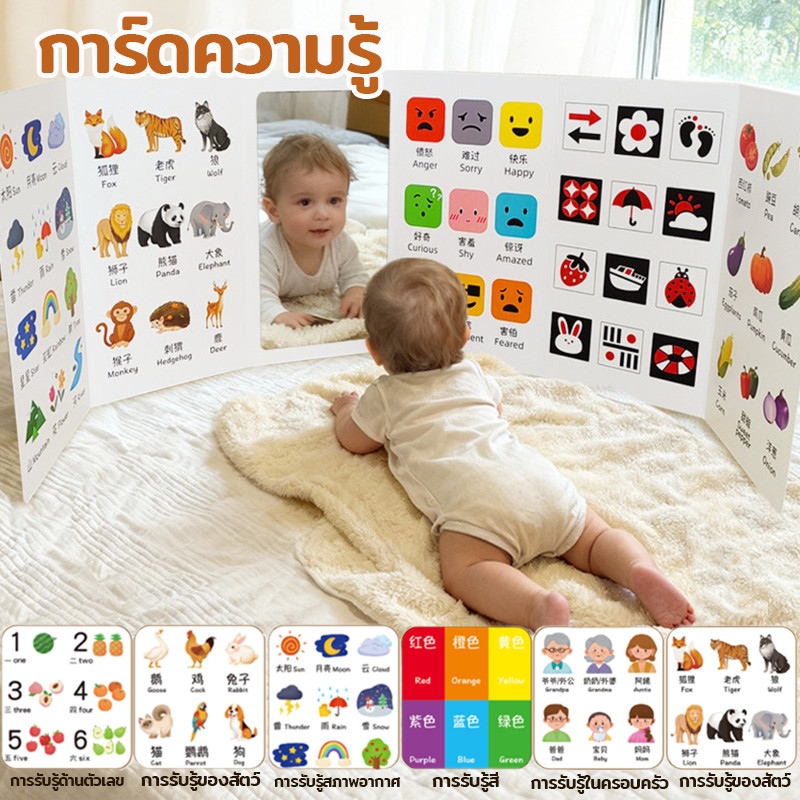 Flash card ของเล่นเสริมการเรียนรู้เด็ก เด็กทารก การ์ดเสริมพัฒนาการสายตา บัตรภาพ ส่งเสริมการพัฒนาเด็ก