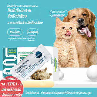 🐶🐱【เหมาะสำหรับสัตว์เลี้ยงทุกวัย】โปรไบโอติกสุนัขแมว อาหารเสริมสุขภาพลำไส้ ลดการติดเชื้อ เสริมจุลินทรีย์ สำหรับสุนัข/แมว