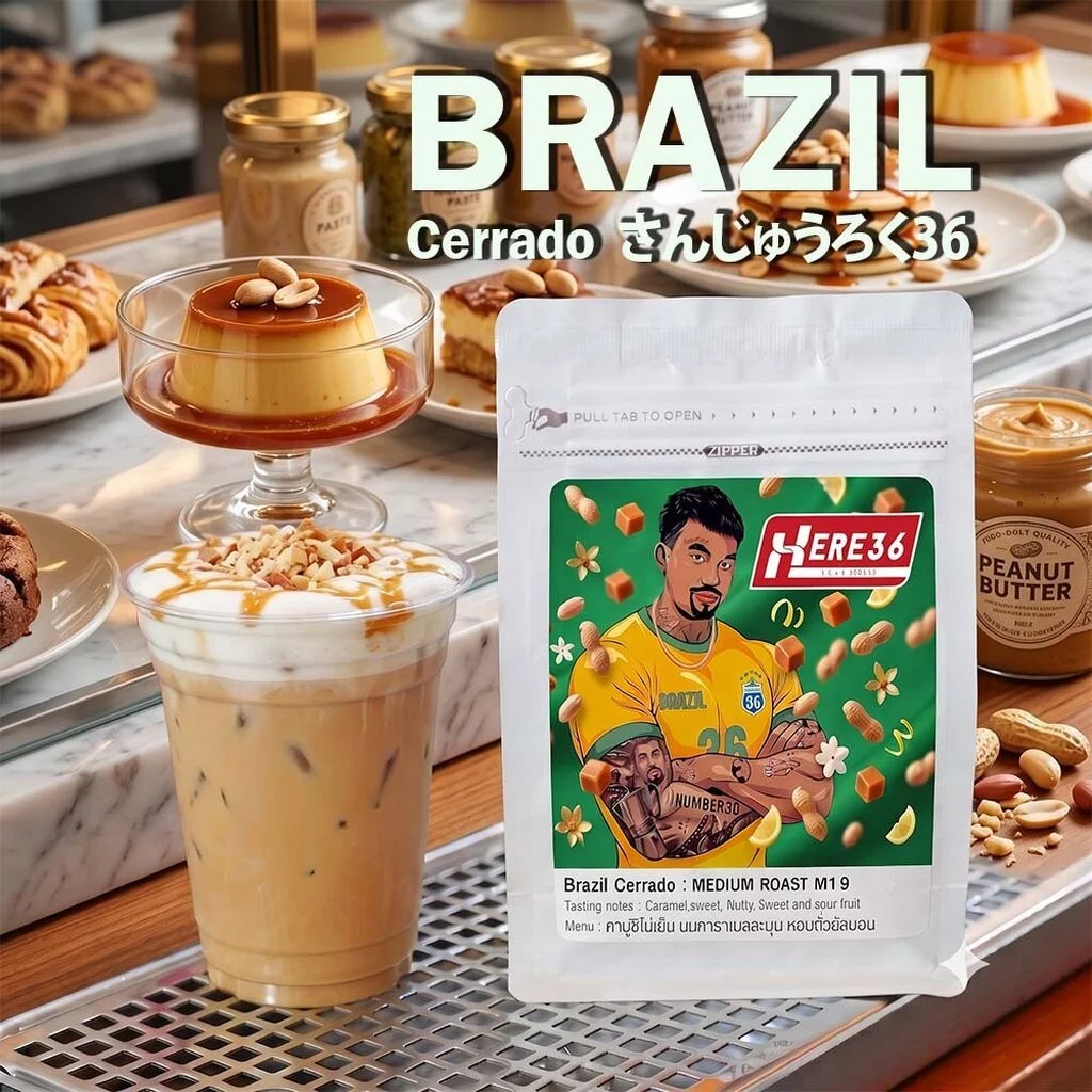 HERE BRAZIL CERRADO : เมล็ดกาแฟบราซิลเซอร์ราโดซิกเนเจอร์ : ช็อคโกเลตอัลมอนด์