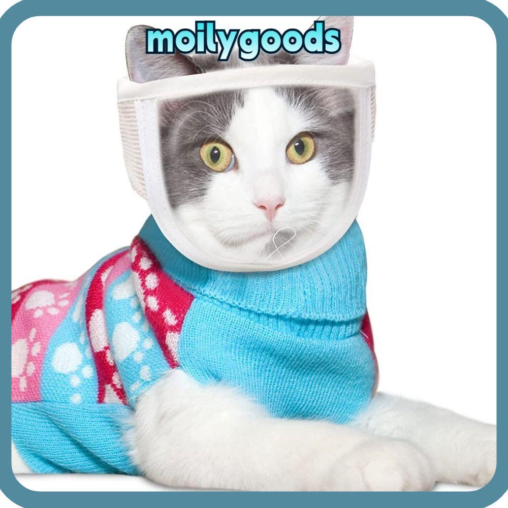 MOILYHD Kitten Muzzles Transparent Anti Bite Pet Product Mouth Guard