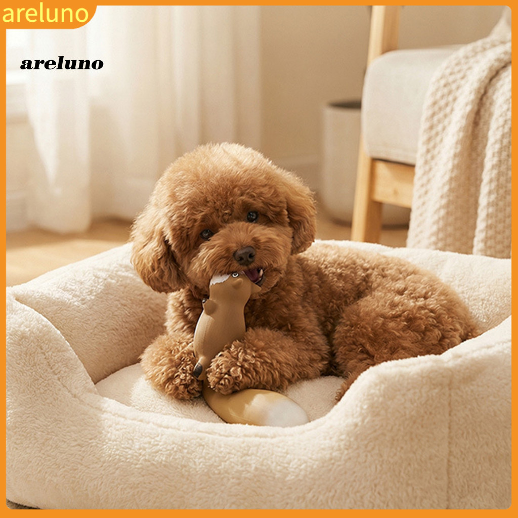 อิลูโนะ|  Squeaky Squirrel Dog Chew Toy – ทนทาน Latex Tug-of-war สําหรับการฝึกอบรมฟันสนุกสัตว์เลี้ยง