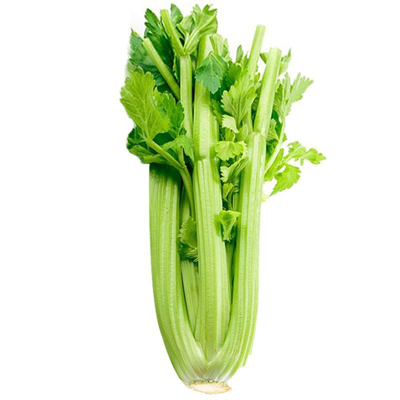 มายช้อยส์เซลารี่เกรดพิเศษ 350กรัม My Choice Special Celery 350g.