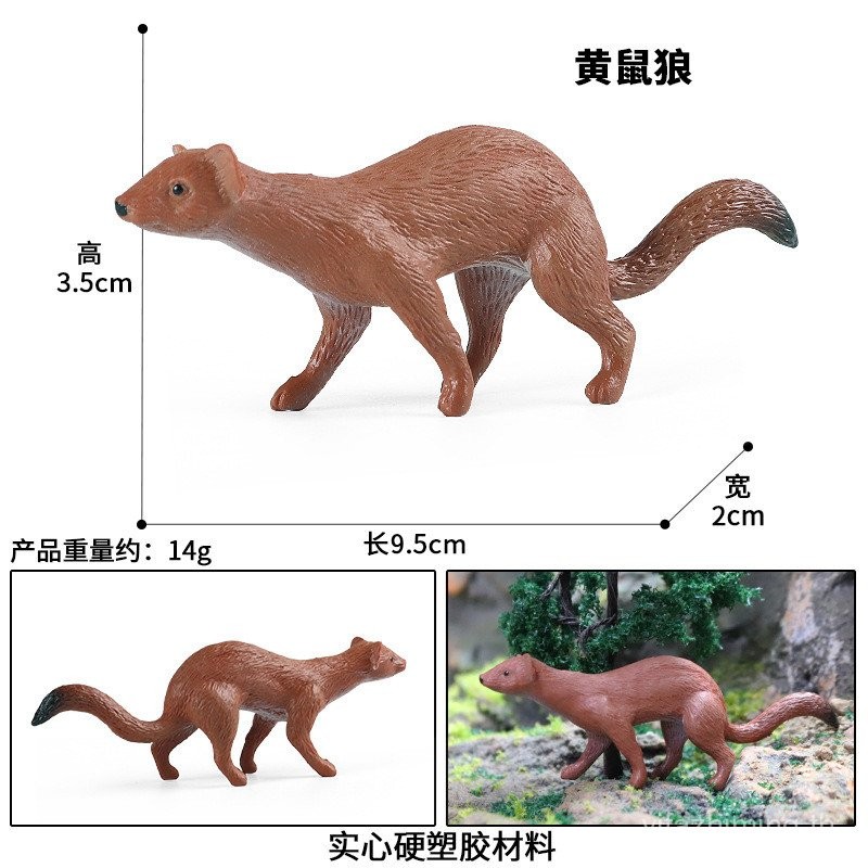 ของเล่นเด็กการศึกษาวิทยาศาสตร์ความรู้ความเข้าใจจําลองสัตว์ป่ารุ่น Solid Weasel Weasel สีเหลือง Wease