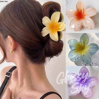 Glassy Sky💖พร้อมส่ง💖กิ๊บติดผม เครื่องประดับผม ารักเกาหลีสไตล…