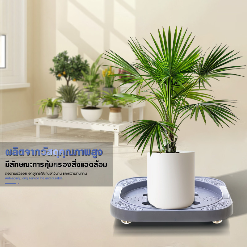 COD ฐานถังแก๊ส ฐานถังแก๊สมีล้อ เคลื่อนย้ายสะดวก สามารถเคลื่อนย้ายของหนักๆ ได้โดยไม่ต้องมือเคลื่อนย้าย แข็งแรง ทนทาน ร - รูปที่ 2