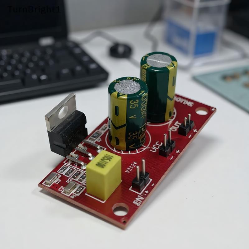 [TurnBright] LM1875 Power Amplifier Board Mono 30W โมดูลขยายเสียงกําลังสูง DC12/24V เมนบอร์ดกล่องเสี