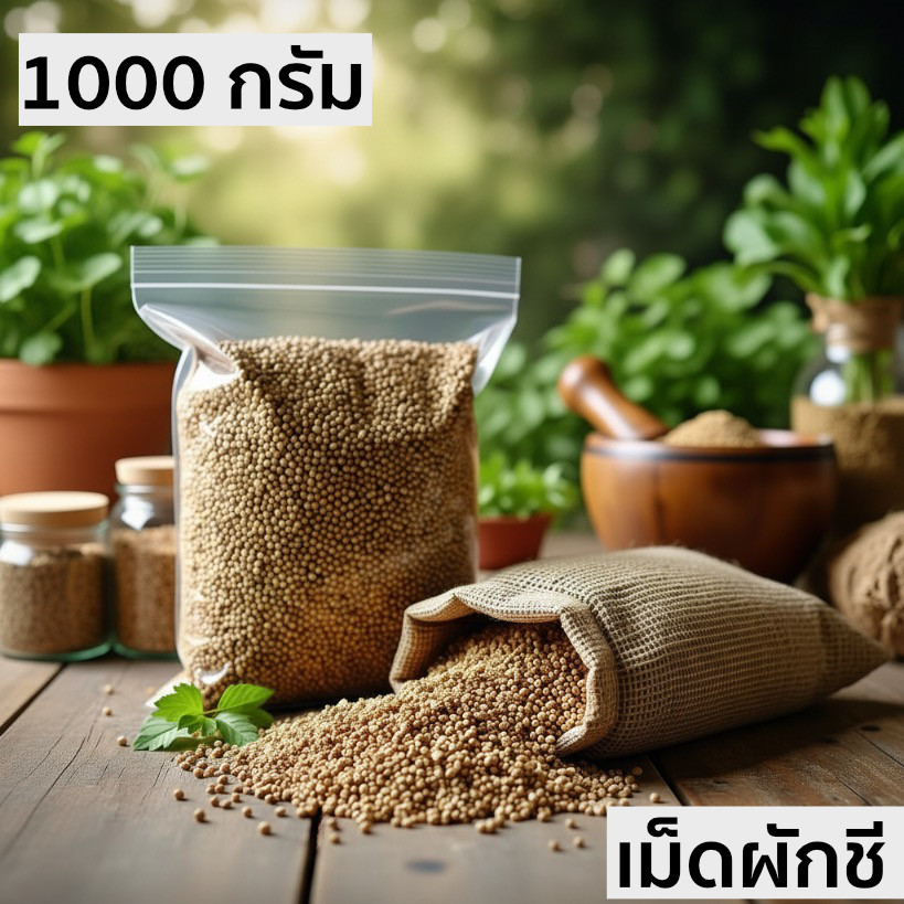มีส่งด่วน เม็ดผักชี เมล็ดผักชี ลูกผักชีสำหรับทำอาหาร