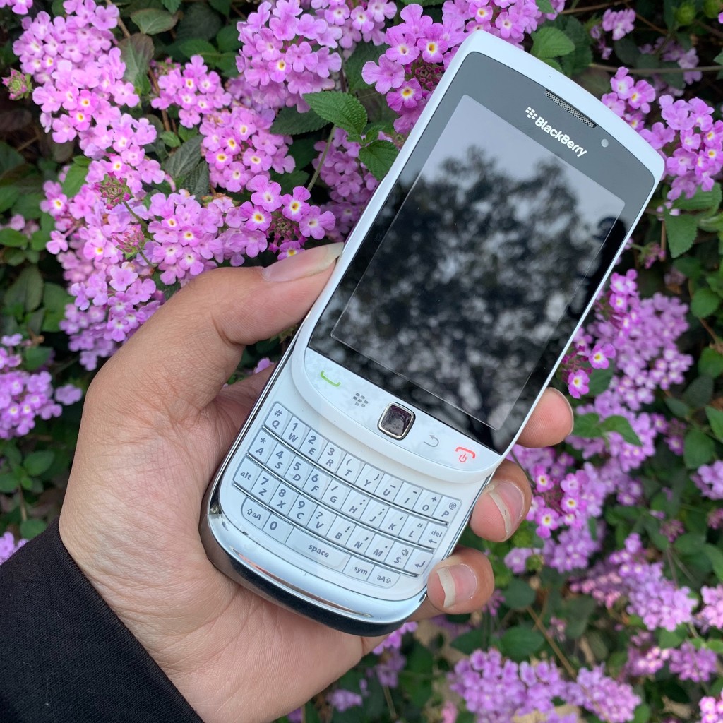 Blackberry/Blackberry 9800 Classic Fashion Slide Phone Ring Net Addiction