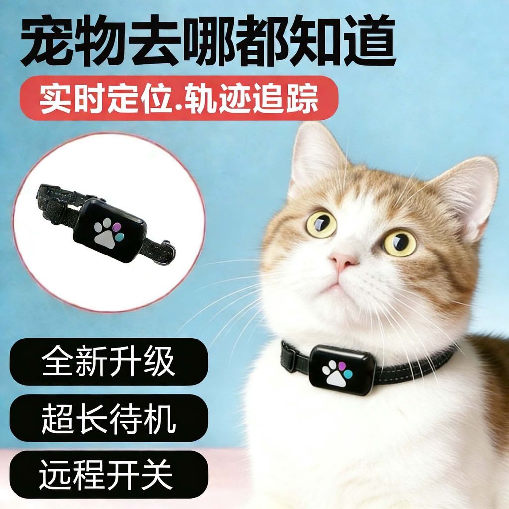 Apple Pet Smart Locator Cat Pet