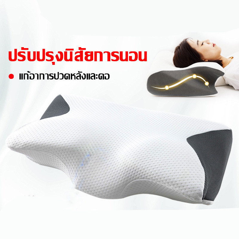 หมอนสุขภาพ ErgaLob Deep Sleep 60x35cm ป้องกันไรฝุ่น รองรับคอไหล่เอว แก้ปวดคอ นอนหลับลึก