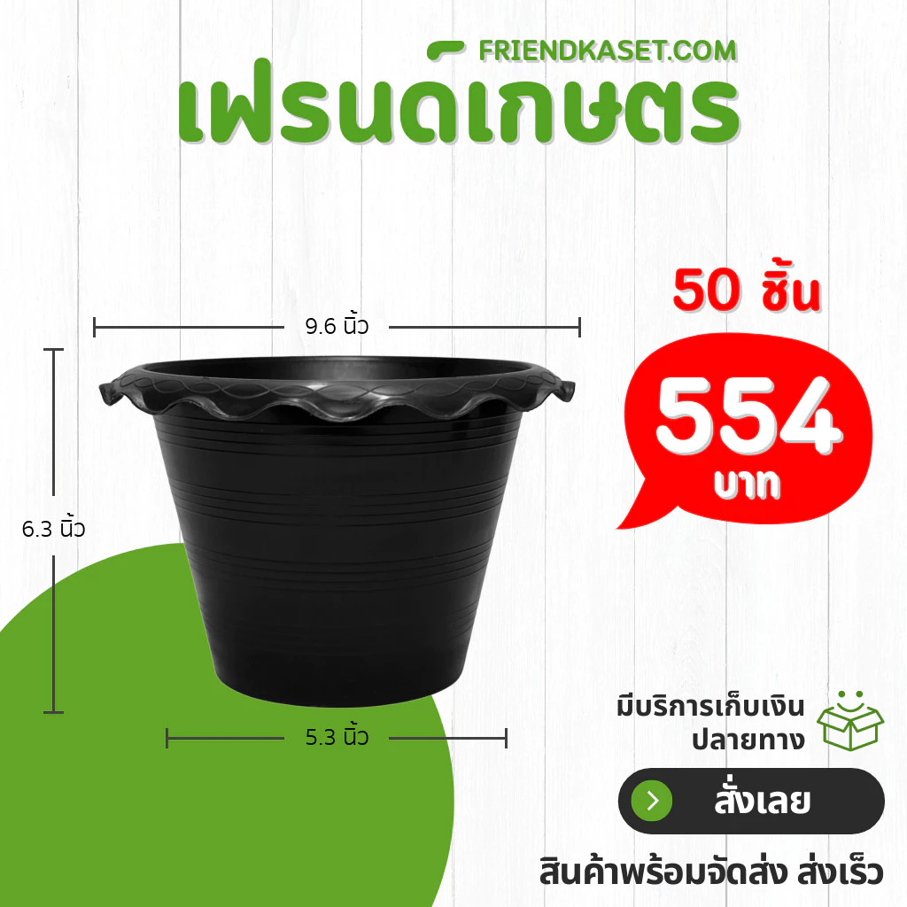 กระถางขาว 10 นิ้ว กระถางต้นไม้ กระถางพลาสติก ราคาโรงงาน หนา thumbnail 4