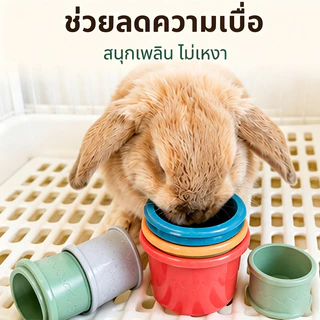 ของเล่นกระต่าย ของใช้กระต่ายเล่นสนุก ถ้วยซ้อนสําหรับกระต่าย ปลดปล่อยพลังงาน ปลอดภัย เสริมพัฒนาการ