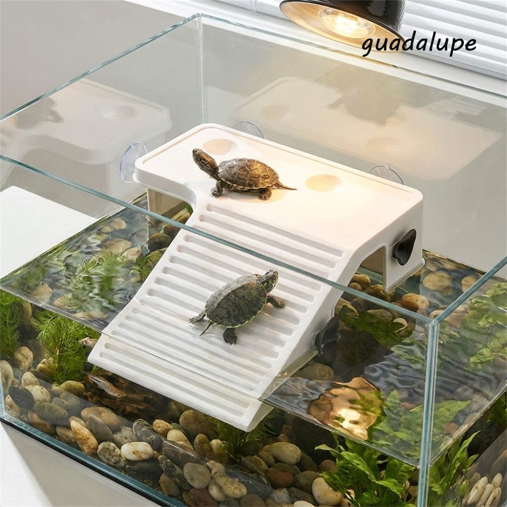 GUADALUPE เต่าลอยแพลตฟอร์ม,ลื่นพลาสติก Basking Platform,ถ้วยดูด Stable Turtle Feeding Area Turtle En