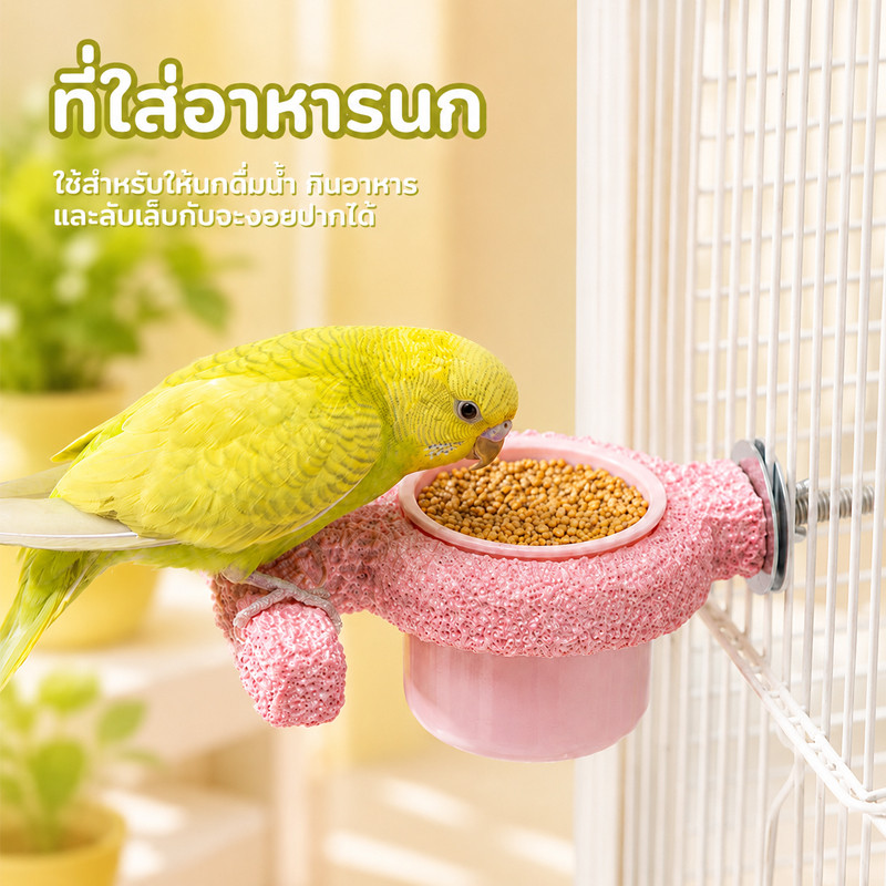 🦜คอนลับเล็บ คอนนกถ้วยให้อาหาร ถ้วยให้น้ำ คอนลับเล็บนก งานเรซิ่น คอนแบบติดกรง สำหรับนก