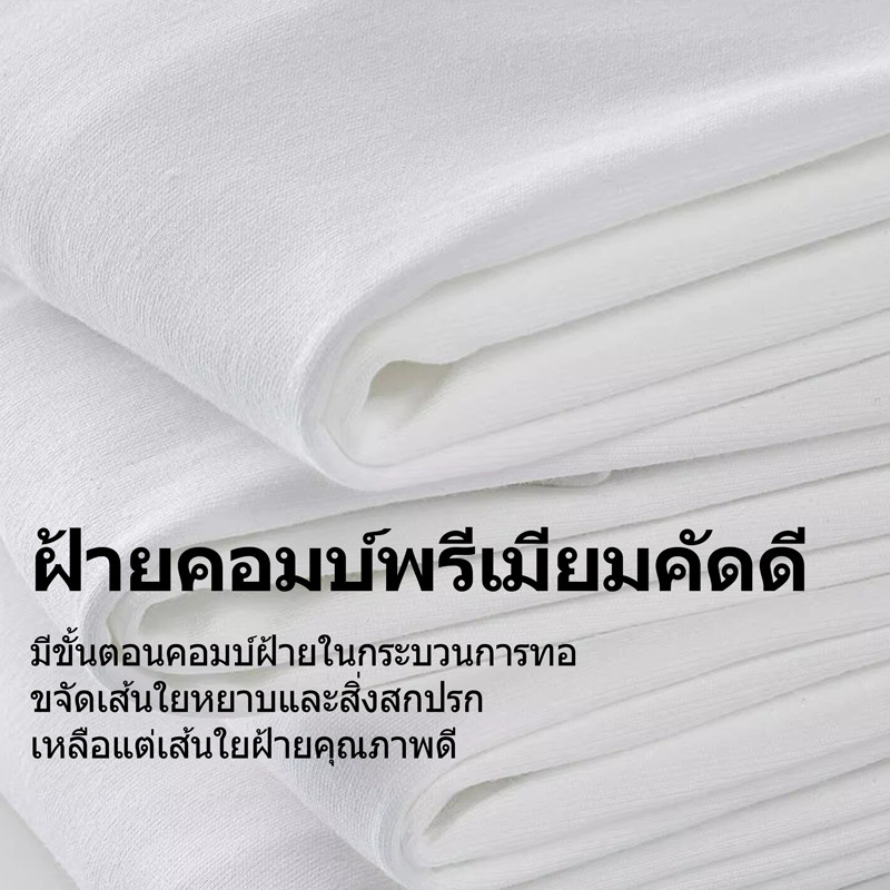 REYE เสื้อยืดคอกลม ผ้าฝ้าย100% 220กรัม นุ่มสบายผิว รูปที่ 5