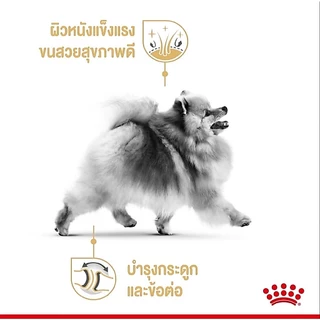 ROYAL CANIN POMERANIAN ADULT3 kgโรยัล คานิน อาหารสุนัขโต พันธุ์ปอมเมอเรเนียน ชนิดเม็ด (POMERANIAN ADULT) 3 kg.