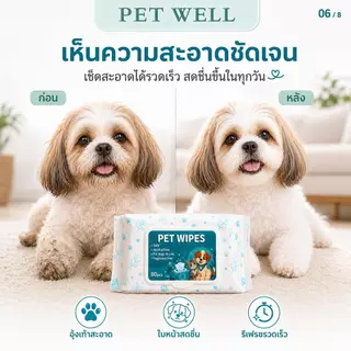 PETWELL ทิชชู่เปียกสัตว์เลี้ยง (1 แพ็ค/80 แผ่น) ผ้าเปียกแมว ผ้าเปียกหมา สูตรอ่อนโยนพิเศษ ปลอดภัย เส้นใยธรรมชาติ100%
