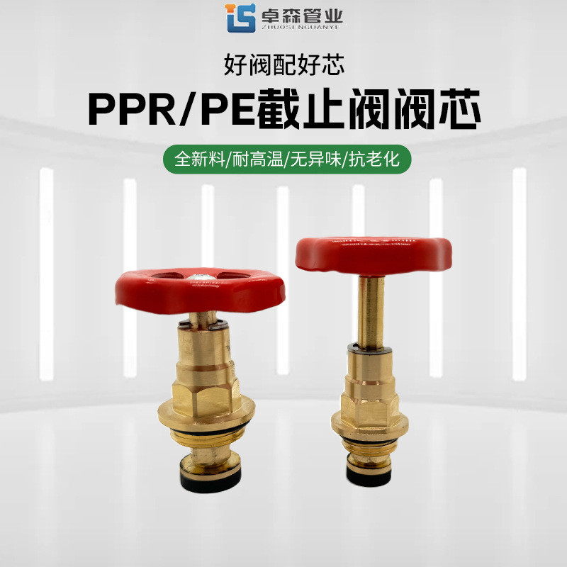 Pe Check Valve Core PPR Check Valve Core วาล์วทองแดงบริสุทธิ์ 4 จุด 25 Boutique วาล์วทองเหลือง Core 