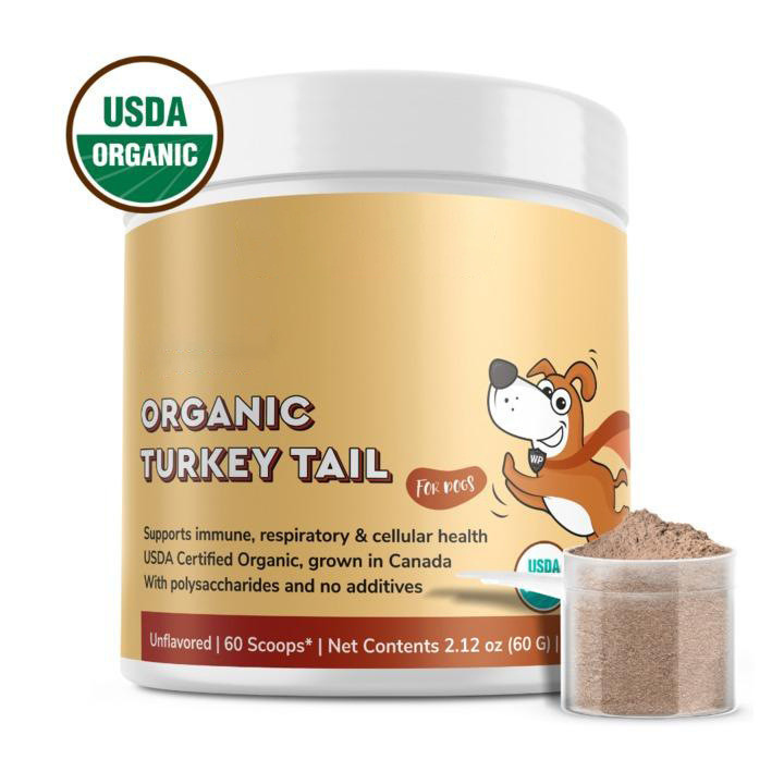 พร้อมส่ง TK Hot-sale 60g Pet TURKEY TAIL Mushroom Powder TURKEY TAIL ขายส่งการค้าต่างประเทศ