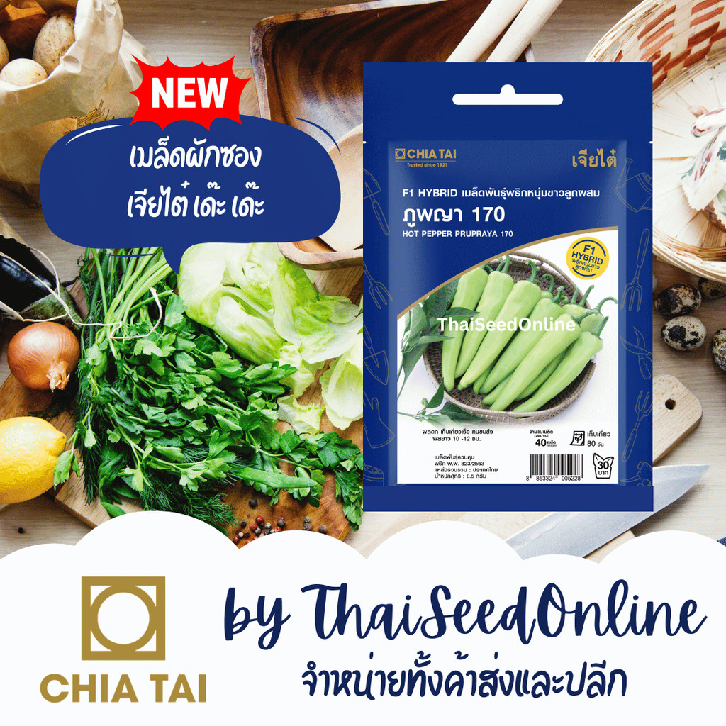CTSE เมล็ดผักซองเจียไต๋ พริกหนุ่ม ภูพญา 170 ตราเจียไต๋ Pepper