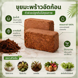ขุยมะพร้าวอัดก้อน 350g+ ก้อน เทนนินต่ำ สำหรับปลูกต้นไม้ ขนาด ก้อน ฟูกว่าเดิม 4 เท่าเมื่อโดนCOD