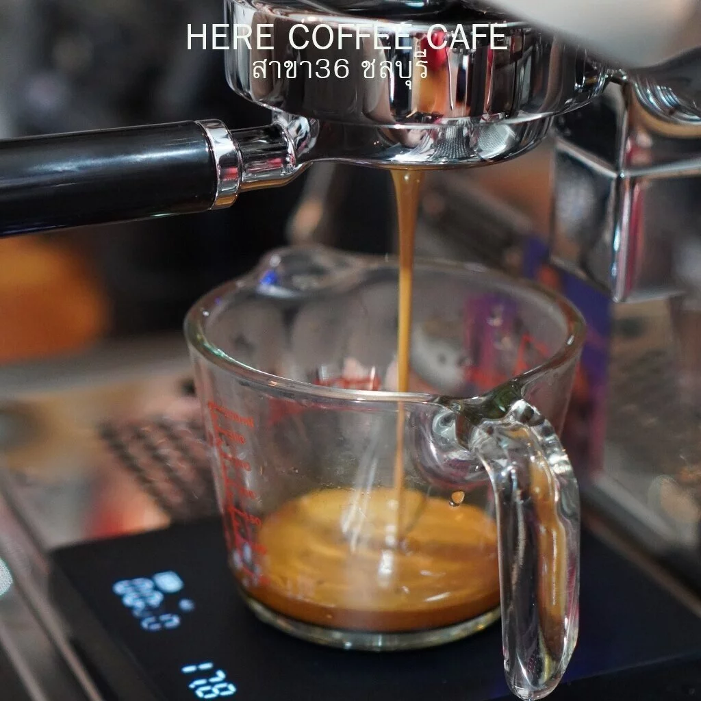 (ร้านโปรโมชั่น) HERE SUPREME BLEND : เมล็ดกาแฟเฮียซูพรีมเบลน : แถมฟรีสูตรเครื่องดื่ม 16 Oz thumbnail 9