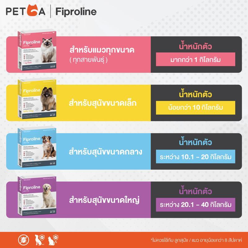 Fiproline Spot On Cat แพค 12 หลอด ผลิตภัณฑ์กำจัดเห็บหมัดสำหรับแมว ชนิดหยดหลังคอ