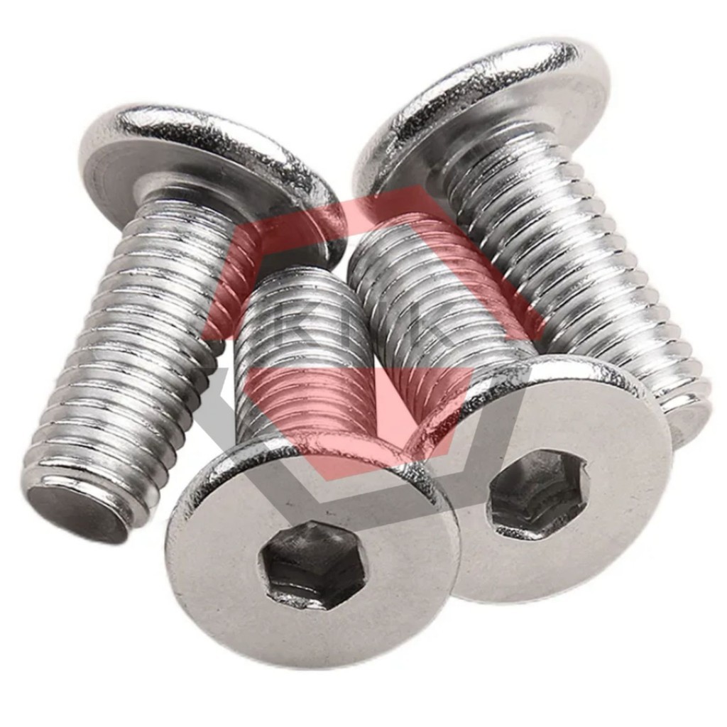 BOLT L M6x110 ULTRA THIN HEAD สแตนเลส