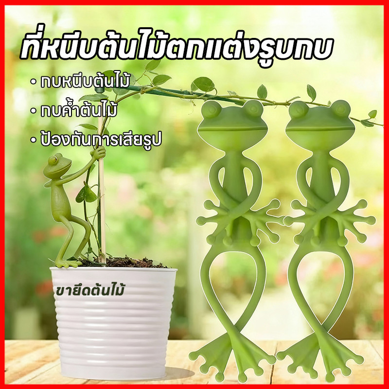 ⚡พร้อมส่งจากไทย⚡ 🐸ที่ยึดต้นไม้รูปกบ  ที่ยึดพยุงต้นไม้รูปการ์ตูน น่ารัก ใช้ได้ทั้งในกระถางและสวน
