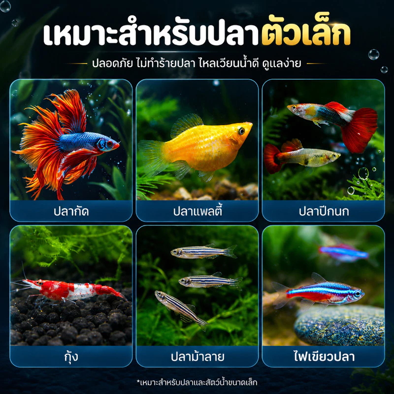 PawTica กล่องแยกปลา แบบลอยน้ำ thumbnail 9